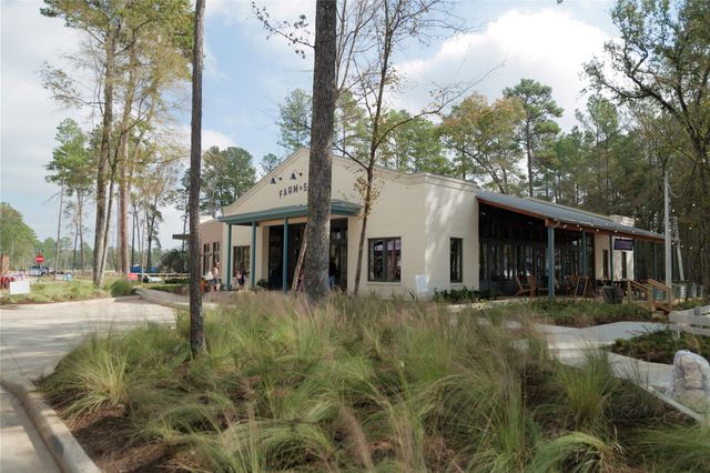 11978 Braided Mane Street, Montgomery, TX 77316