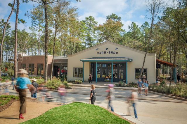 11978 Braided Mane Street, Montgomery, TX 77316