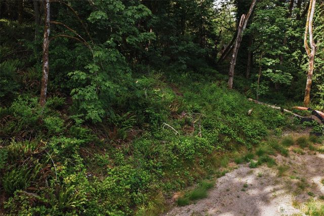 7099 Wilson Creek Road SE, Port Orchard, WA 98367