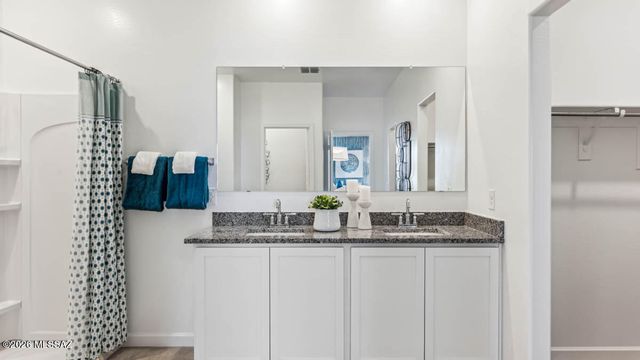 9756 N Heavenly Bamboo Drive, Marana, AZ 85653
