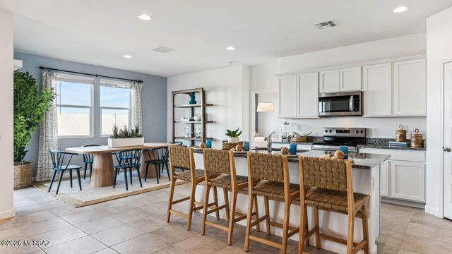 9756 N Heavenly Bamboo Drive, Marana, AZ 85653