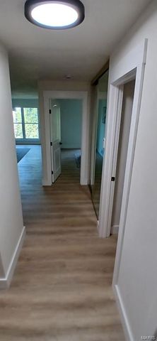 1251 Guelbreth Lane 308, St Louis, MO 63146