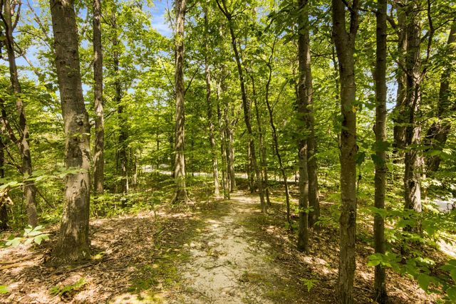 9255 E Grace Drive, Elmwood Twp, MI 49621