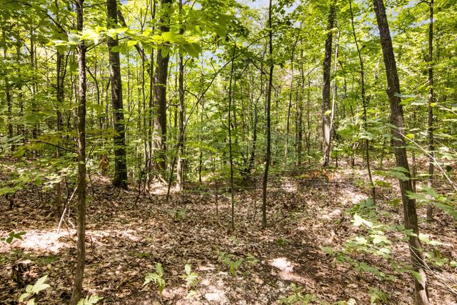 9255 E Grace Drive, Elmwood Twp, MI 49621