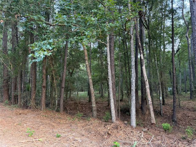 43 Sims Oak Road, Splendora, TX 77372