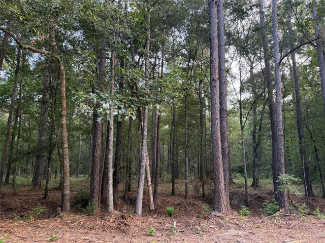 43 Sims Oak Road, Splendora, TX 77372