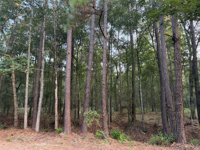 43 Sims Oak Road, Splendora, TX 77372