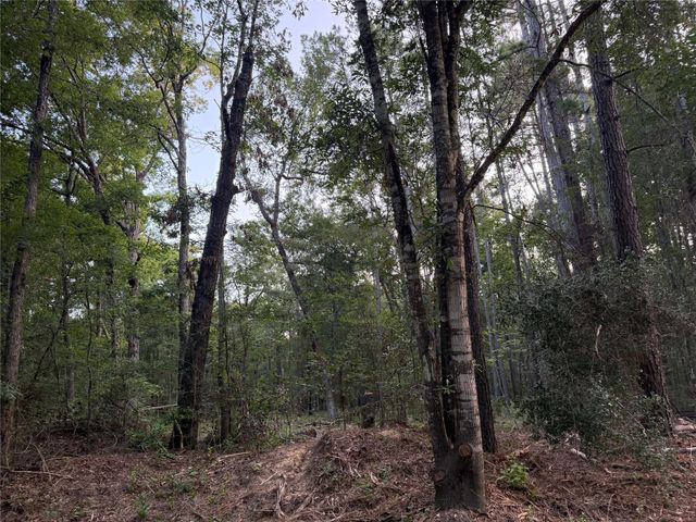 43 Sims Oak Road, Splendora, TX 77372