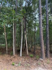 43 Sims Oak Road, Splendora, TX 77372