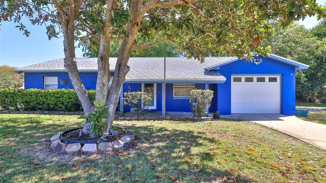 1915 UMBRELLA TREE DRIVE, Edgewater, FL 32141