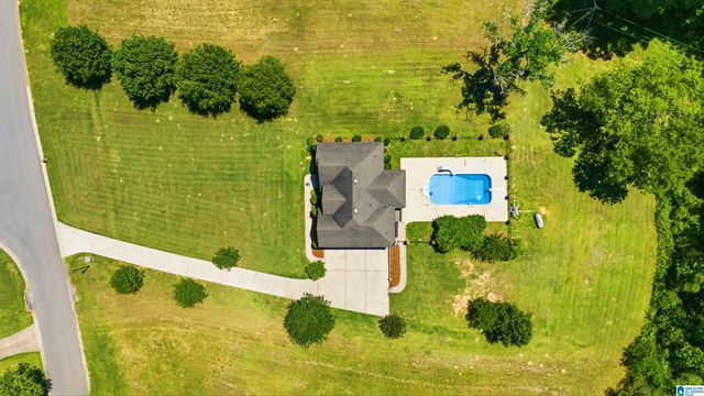 4905 MICHAEL DRIVE, Dora, AL 35062