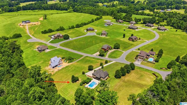 4905 MICHAEL DRIVE, Dora, AL 35062
