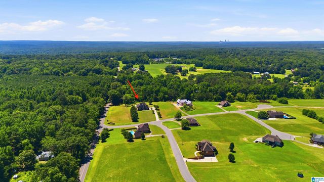 4905 MICHAEL DRIVE, Dora, AL 35062