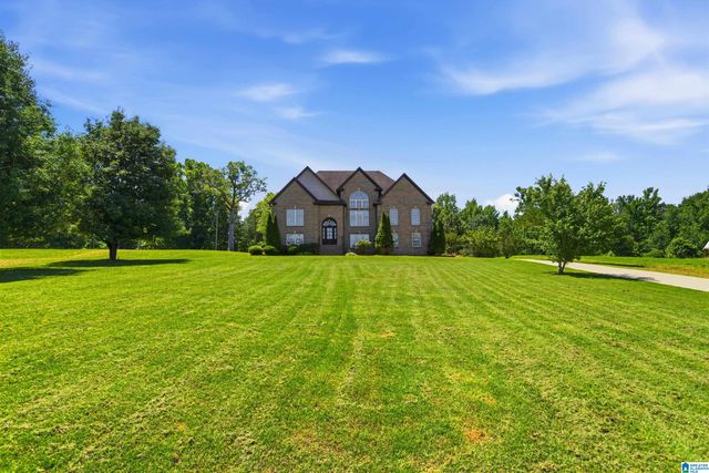 4905 MICHAEL DRIVE, Dora, AL 35062