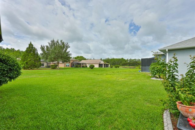 7521 MELOGOLD CIRCLE, Land O Lakes, FL 34637