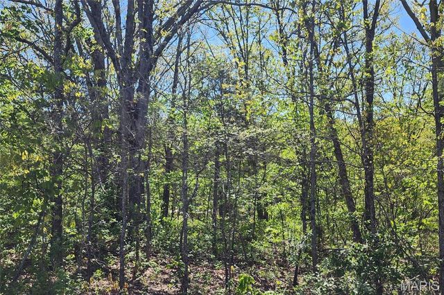 3906 & 3910 Red Bud Drive, Catawissa, MO 63015