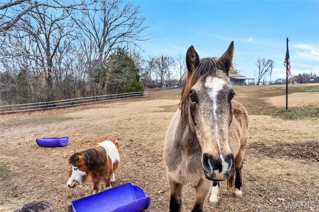 311 Friendship Lane, New Haven, MO 63068