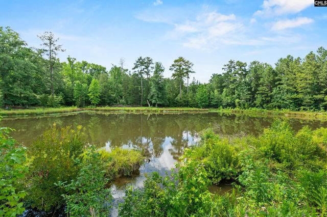 453 Bryan Street, Leesville, SC 29070