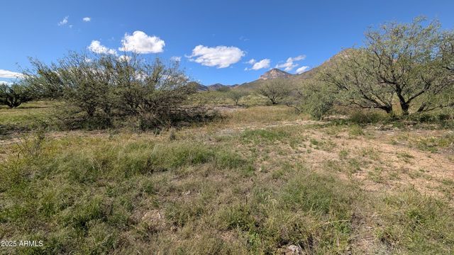TBD S Coronado Memorial Road 50, Hereford, AZ 85615