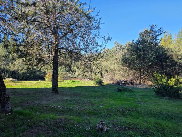 10402 Newtown Rd, Nevada City, CA 95959