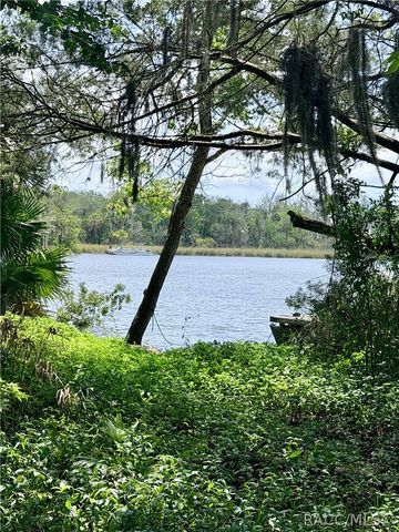 900 N Appalachian Terrace, Crystal River, FL 34429