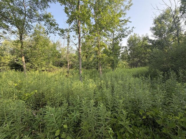 9653 52nd Avenue, Allendale, MI 49401