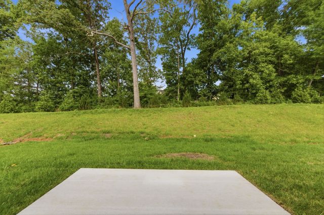 4025 Gaskill Drive, Smyrna, TN 37167