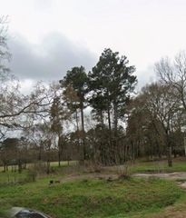 17657 Fm 149 Road, Montgomery, TX 77356