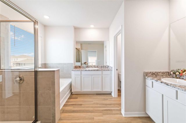 18211 FATTORIA TERRACE, Bradenton, FL 34211