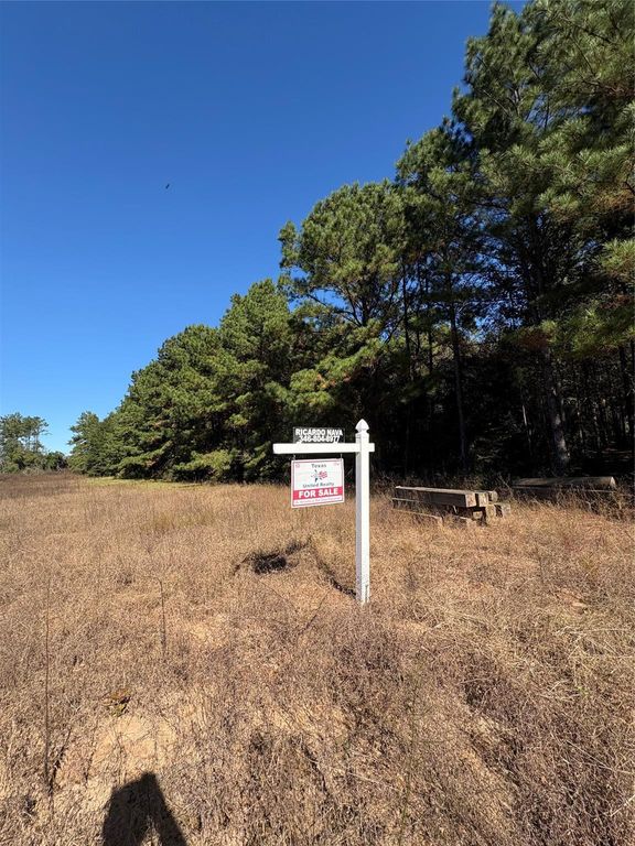 0 County Road 113, Jasper, TX 75951