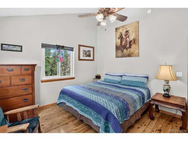 304 Virginia Rd, Bailey, CO 80421