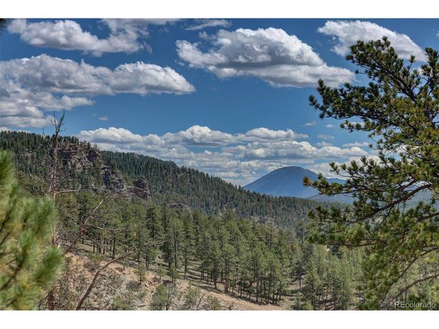 304 Virginia Rd, Bailey, CO 80421