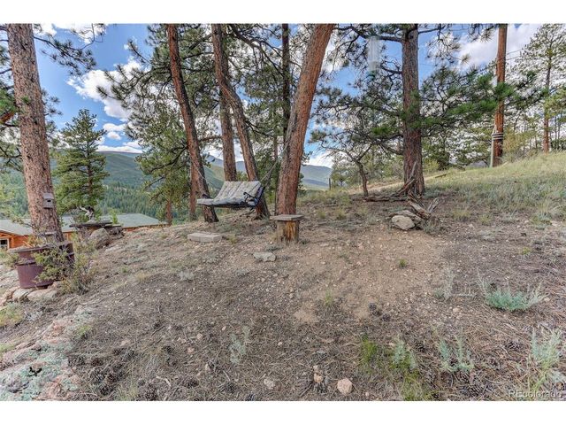 304 Virginia Rd, Bailey, CO 80421