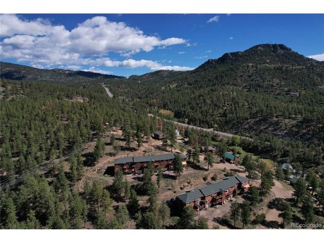 304 Virginia Rd, Bailey, CO 80421