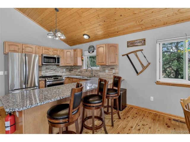 304 Virginia Rd, Bailey, CO 80421
