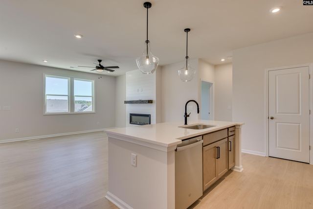 2026 Red Tulip Court, Lexington, SC 29073