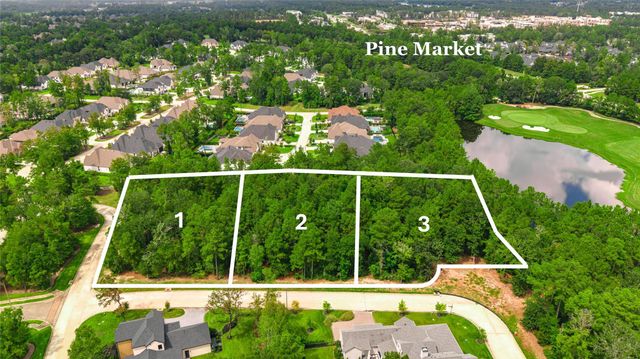 104 Castle Pines Drive, Montgomery, TX 77316