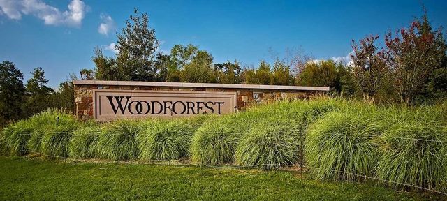 104 Castle Pines Drive, Montgomery, TX 77316