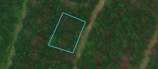 Lots 538, 539, 540 & 541 Wood Forest, Livingston, TX 77351