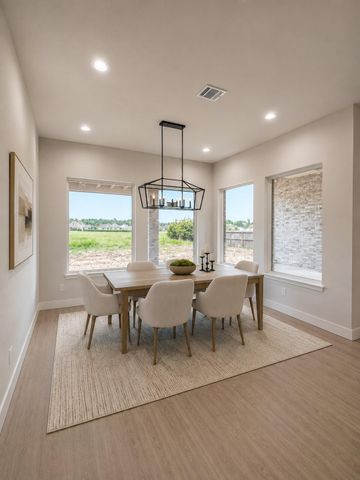 18803 Serene Water Drive, Montgomery, TX 77356