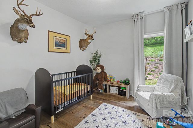 300 Green Meadow Lane, Mars Hill, NC 28754