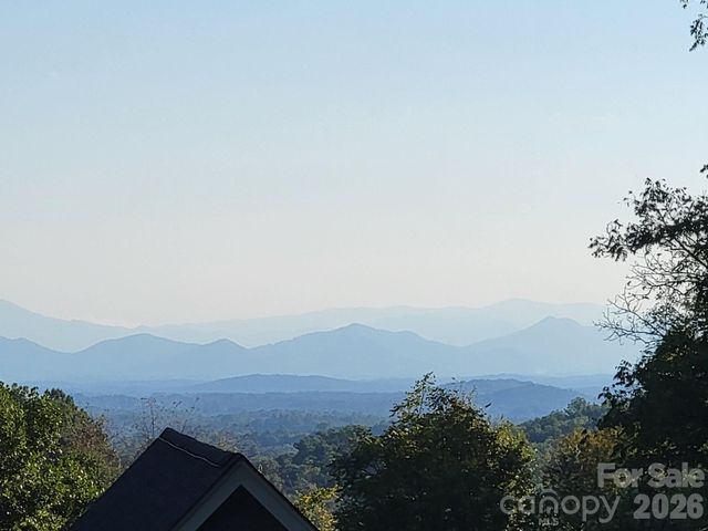 300 Green Meadow Lane, Mars Hill, NC 28754