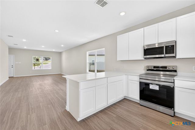 1102 Sky Summit Court, Belton, TX 76513