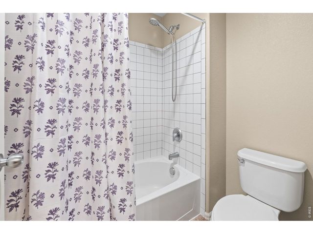 5726 Graphite St, Timnath, CO 80547
