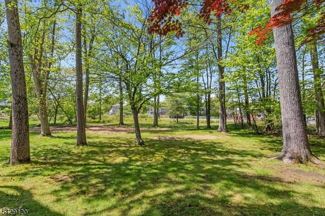97 Roxy Ave, Edison Twp., NJ 08820