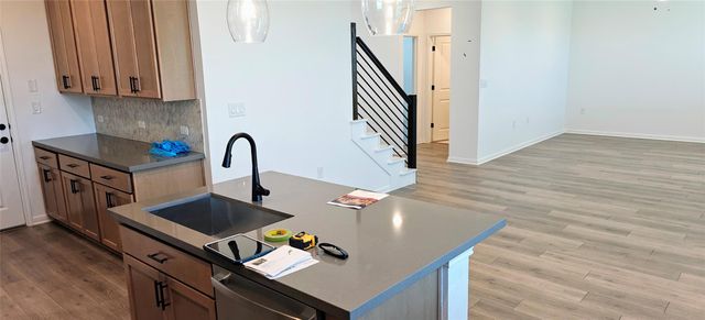 1417 Purple Martin DR, Austin, TX 78660