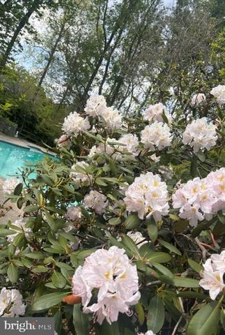 4341 WILD FILLY CT, Ellicott City, MD 21042