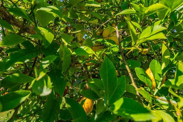 6681 Riverside Drive, Redding, CA 96001