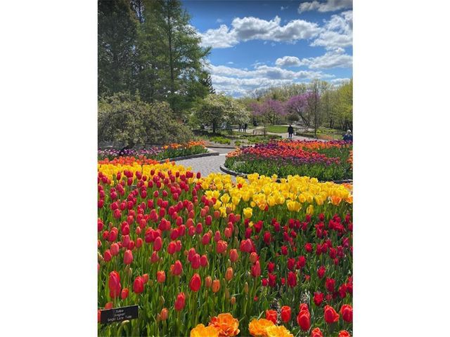 895 Laurel Court, Chaska, MN 55318