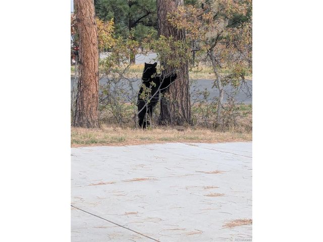1240 Kenosha Dr, Larkspur, CO 80118
